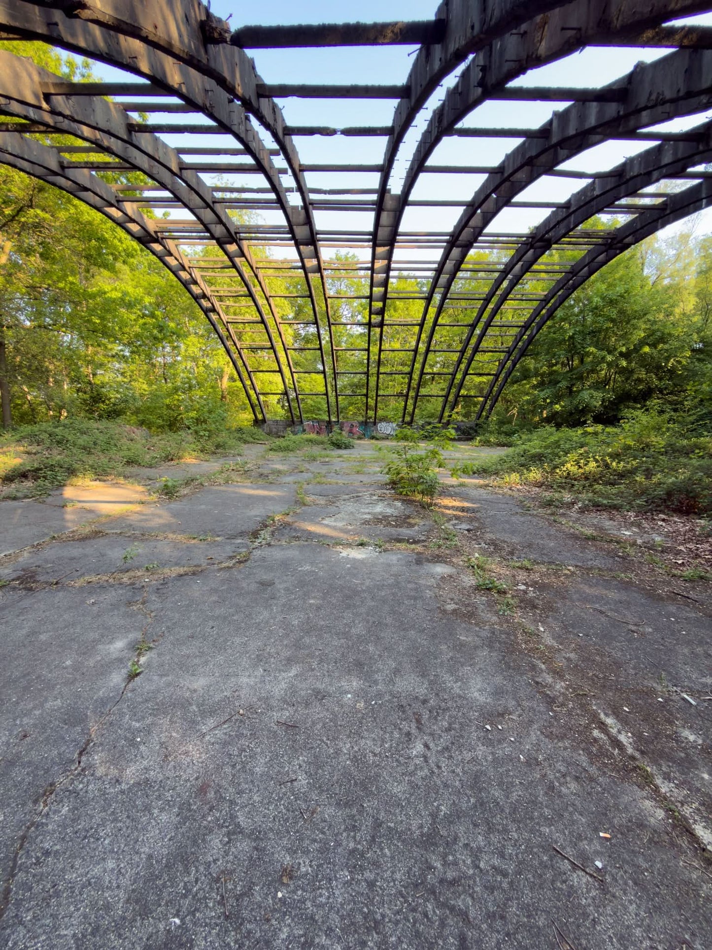 Arched Aircraft Hangar [DEU] #11789