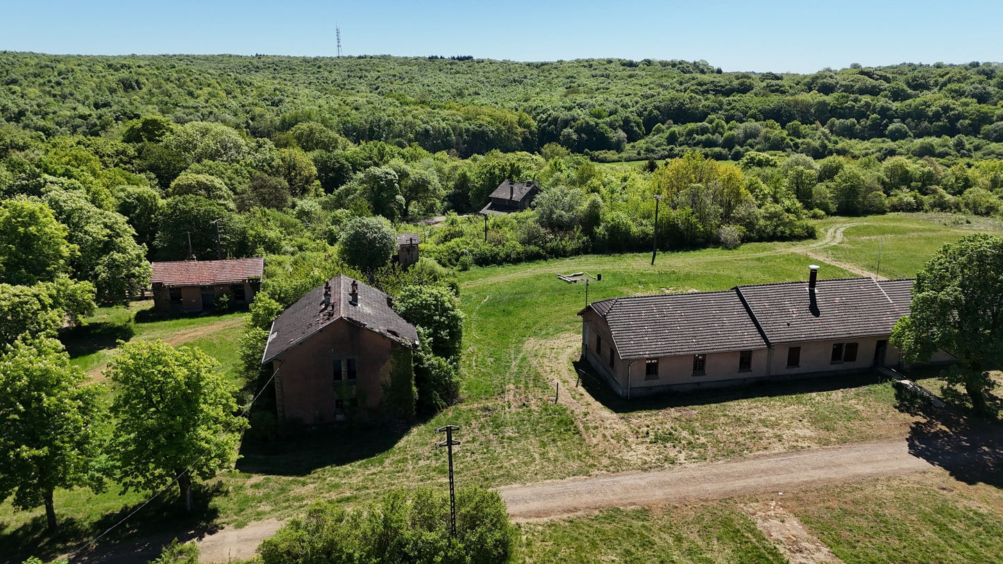 Camp Dangerville [FRA] #12378