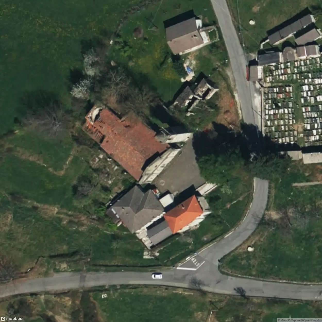 Cockthorpe [ITA] #12424