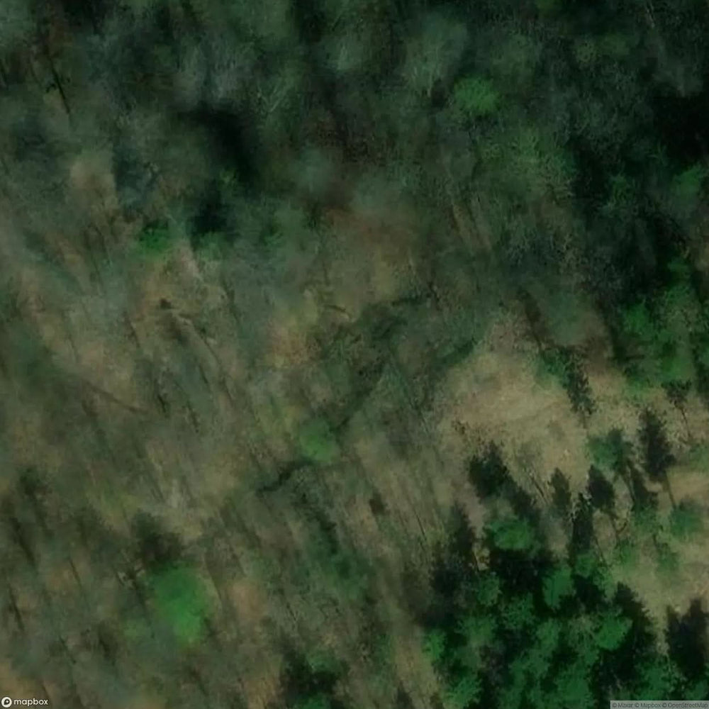 Radosno Castle Ruins [POL] #11785