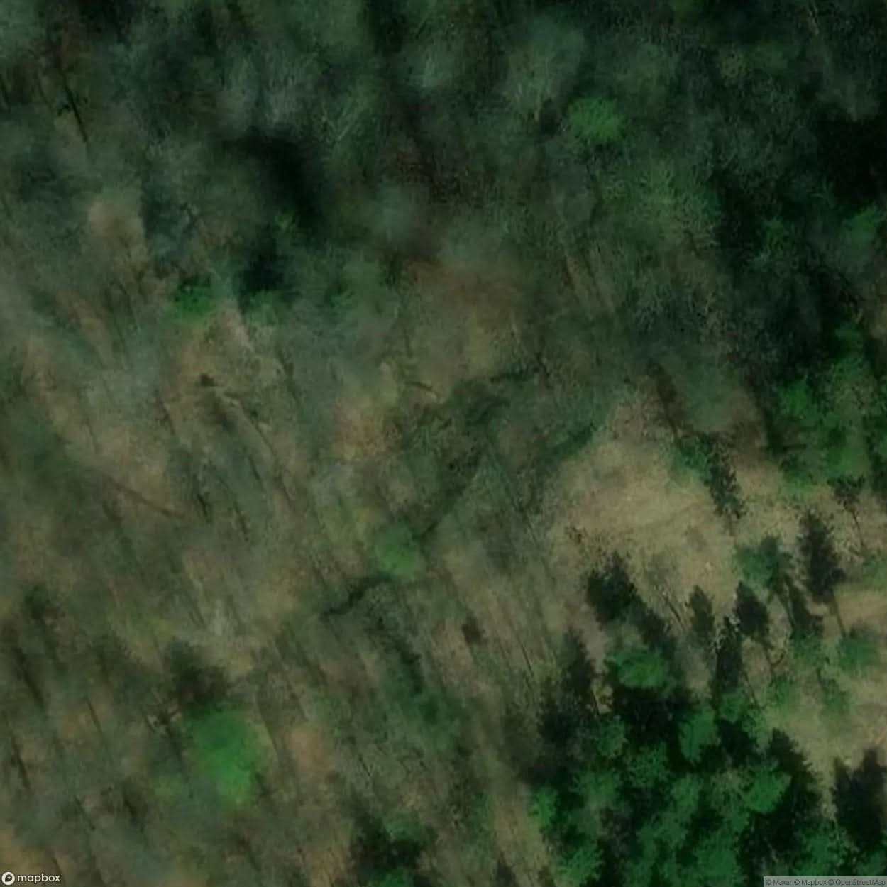 Radosno Castle Ruins [POL] #11785