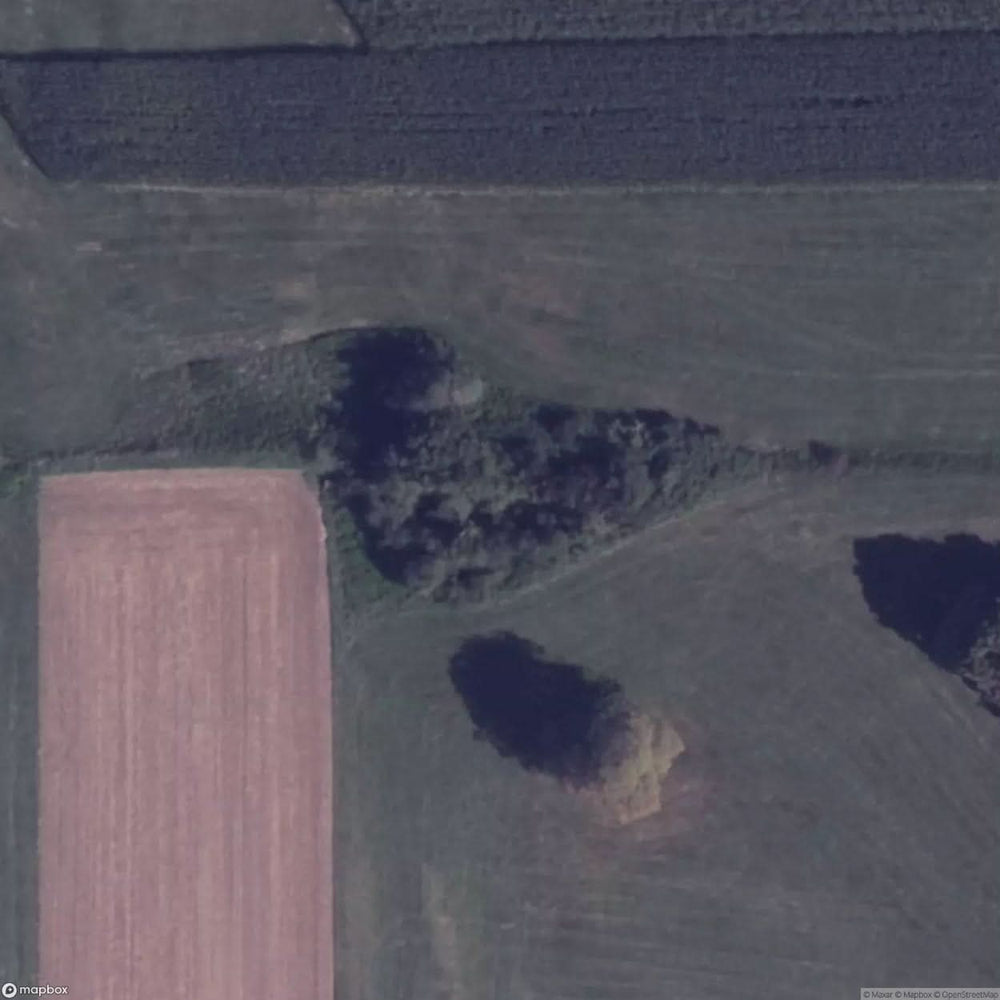 The Bridge In The Middle Of A Meadow [DEU] #07259