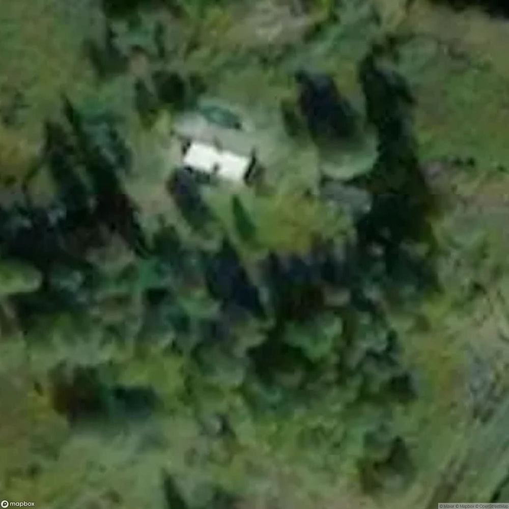 Lost House In Woods [SWE] #01292