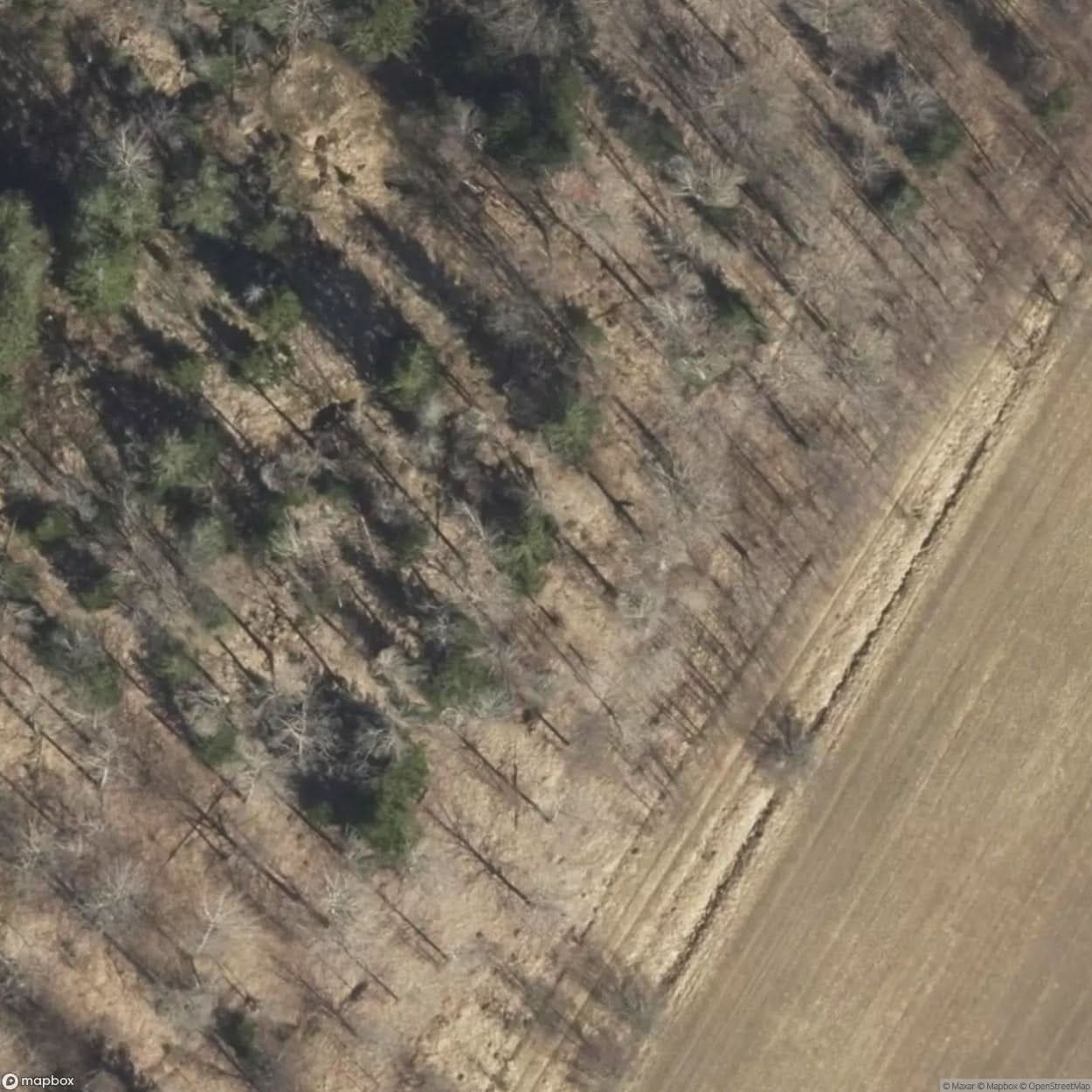 Abandoned Military Bunker Schron Piechoty J Iia [SWE] #32383