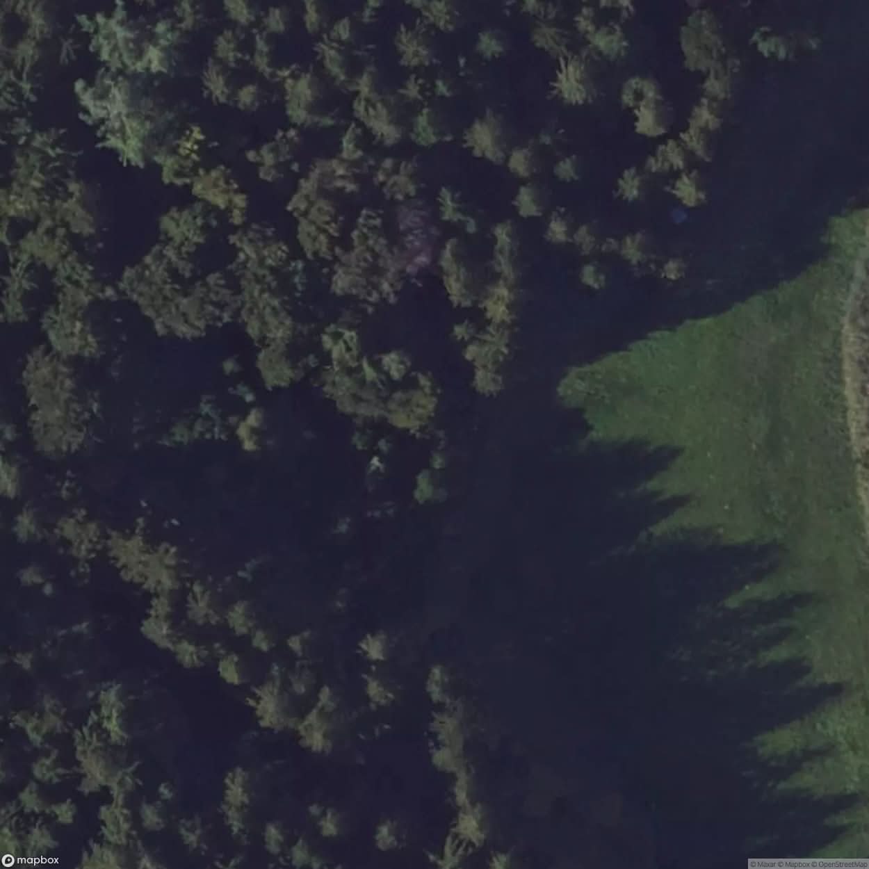 Little House In The Forest [DEU] #03594