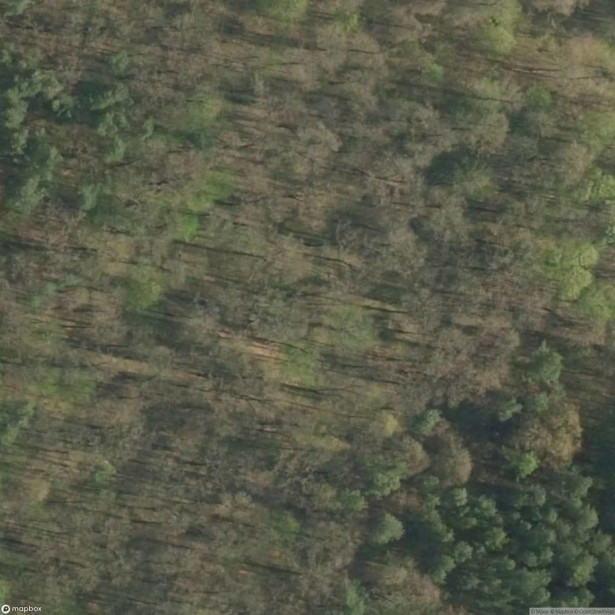 Site Fortifications In The Pu Awy Forests [POL] #33882