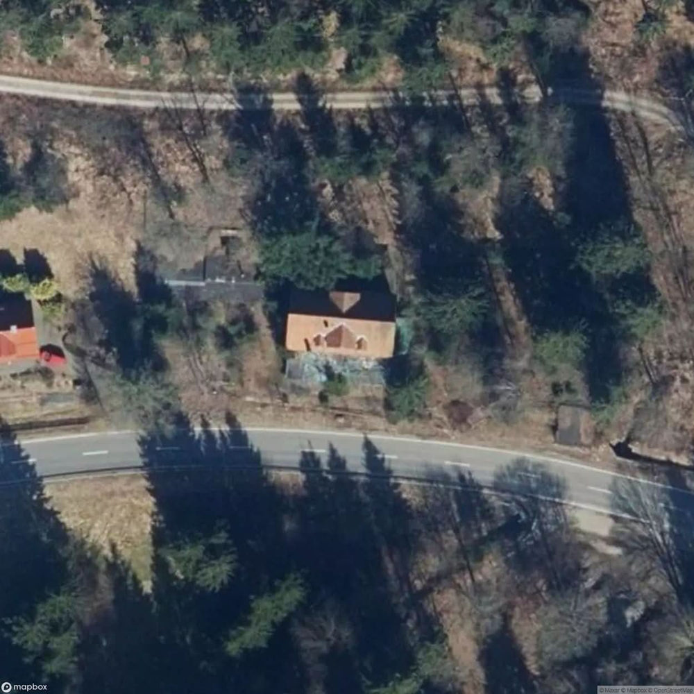 Forest Cat Inn And Hotel [DEU] #21463