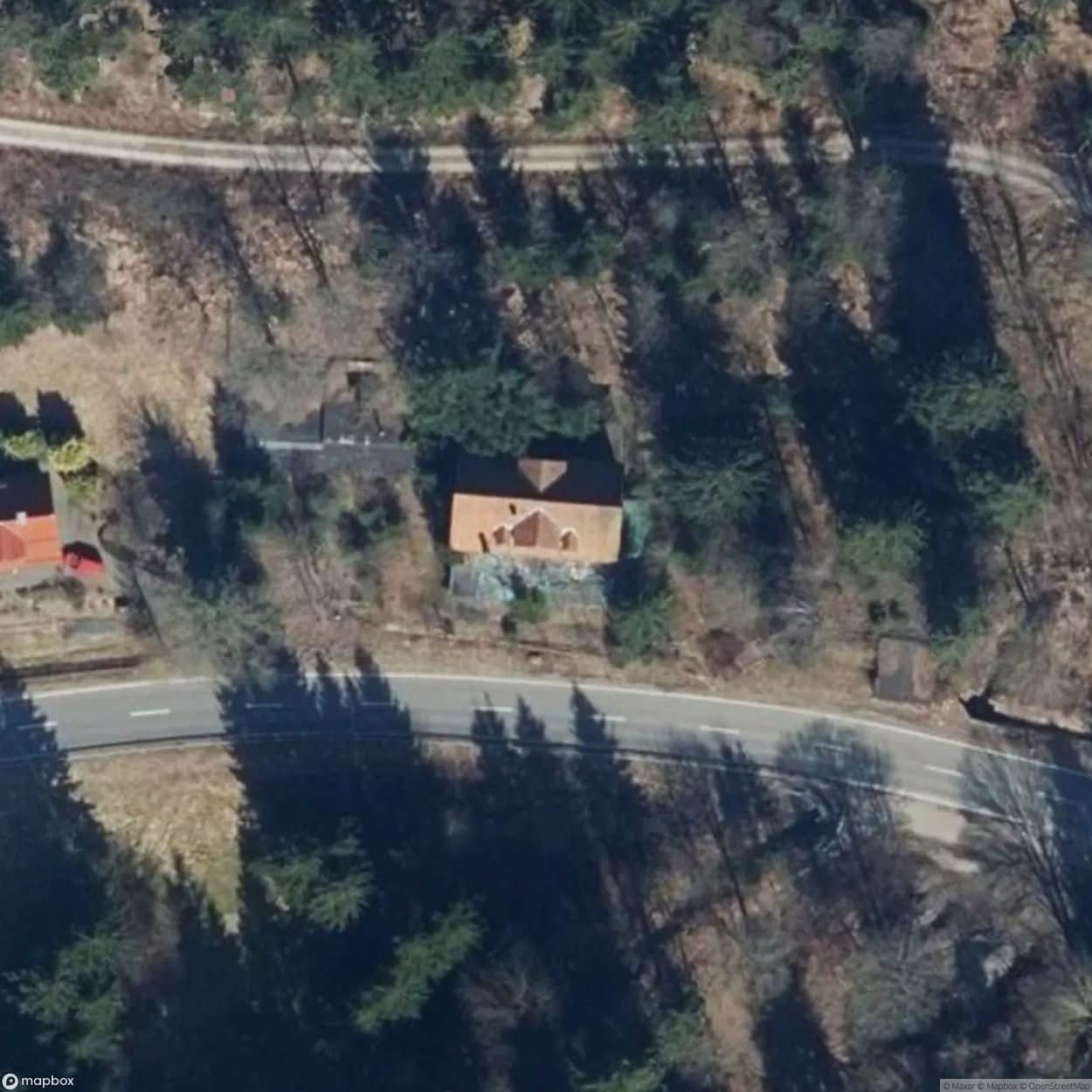 Forest Cat Inn And Hotel [DEU] #21463