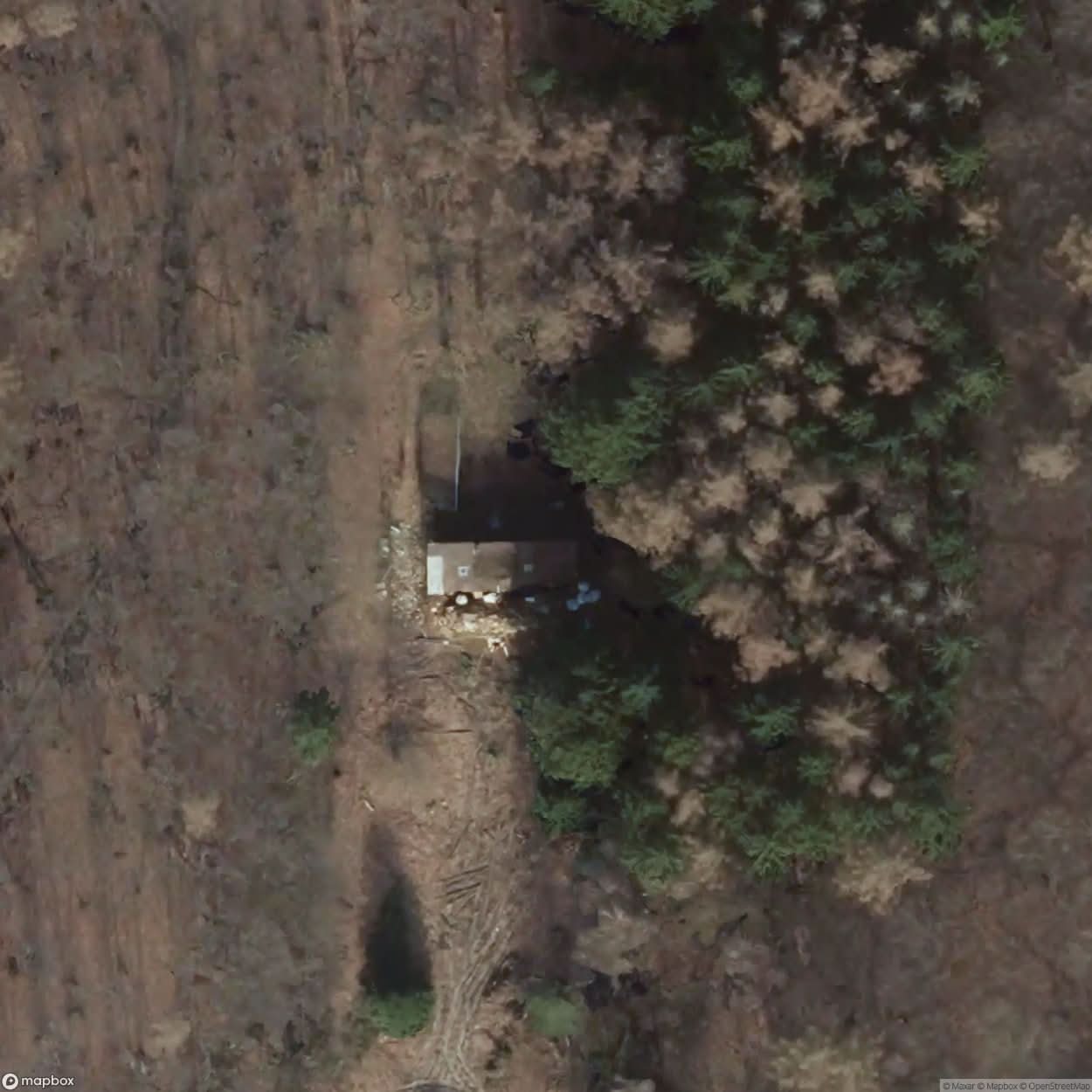 Burned Wooden Cabin With View [DEU] #00083