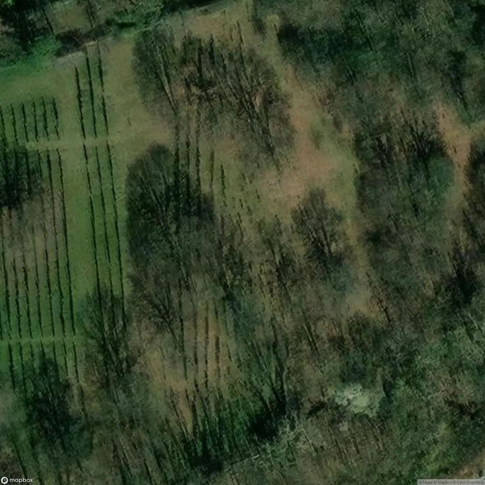 Jewish Cemetery Alsbach [DEU] #11294