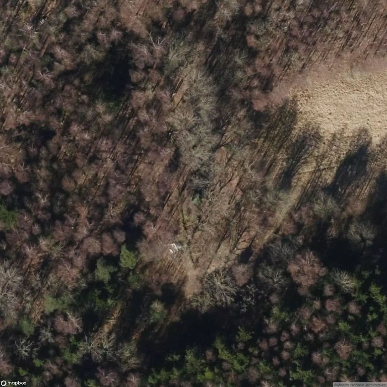 Bunker Qwa [SWE] #15994