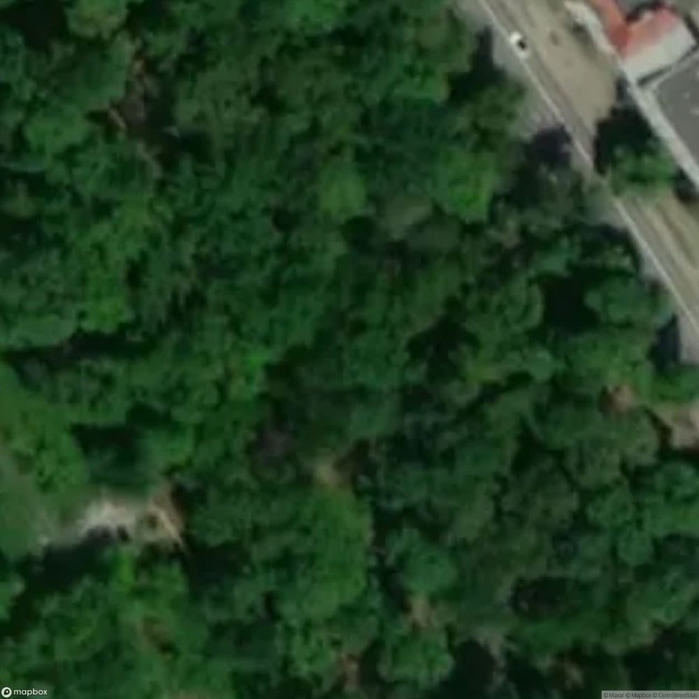 Historic Cemetery Opole [POL] #35831