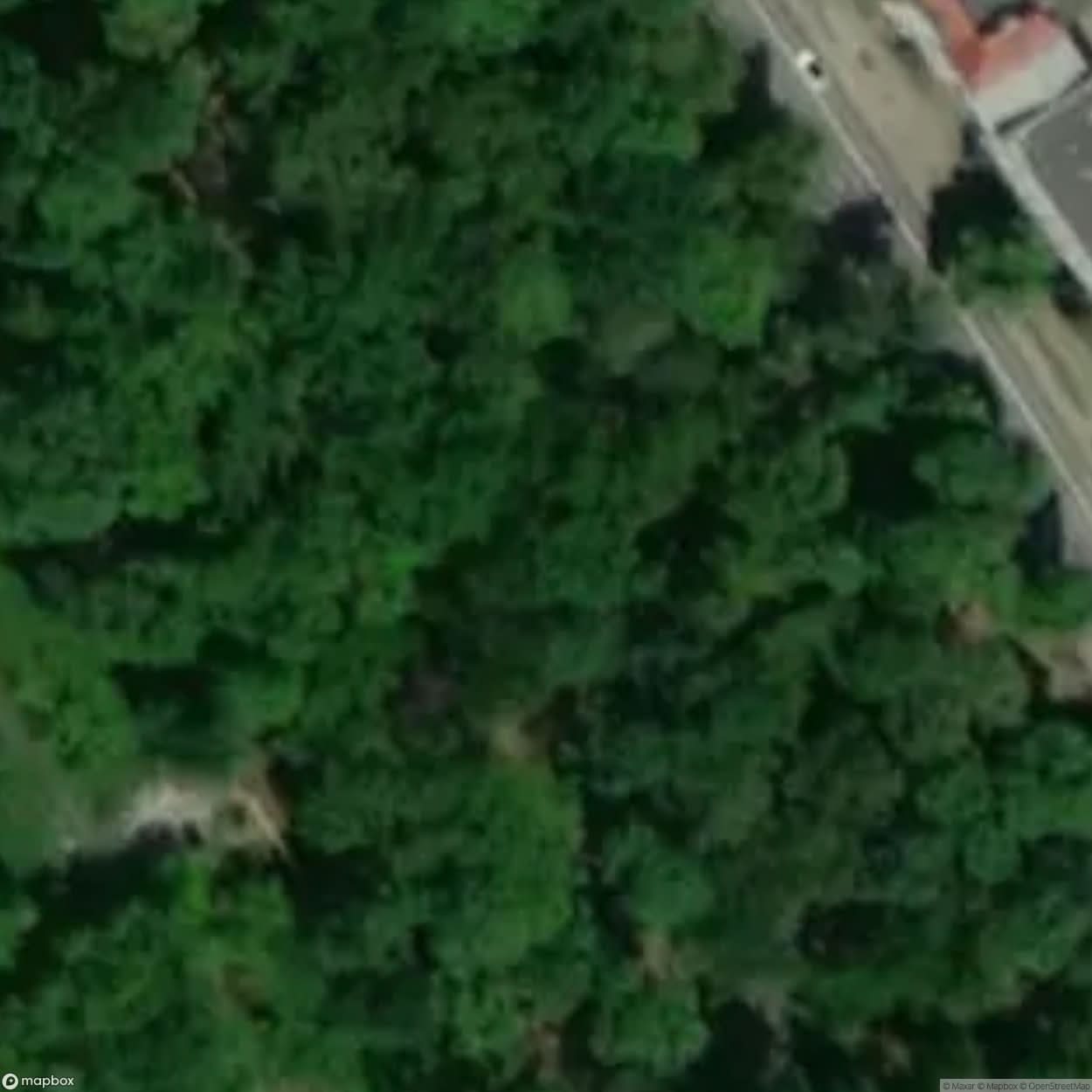 Historic Cemetery Opole [POL] #35831