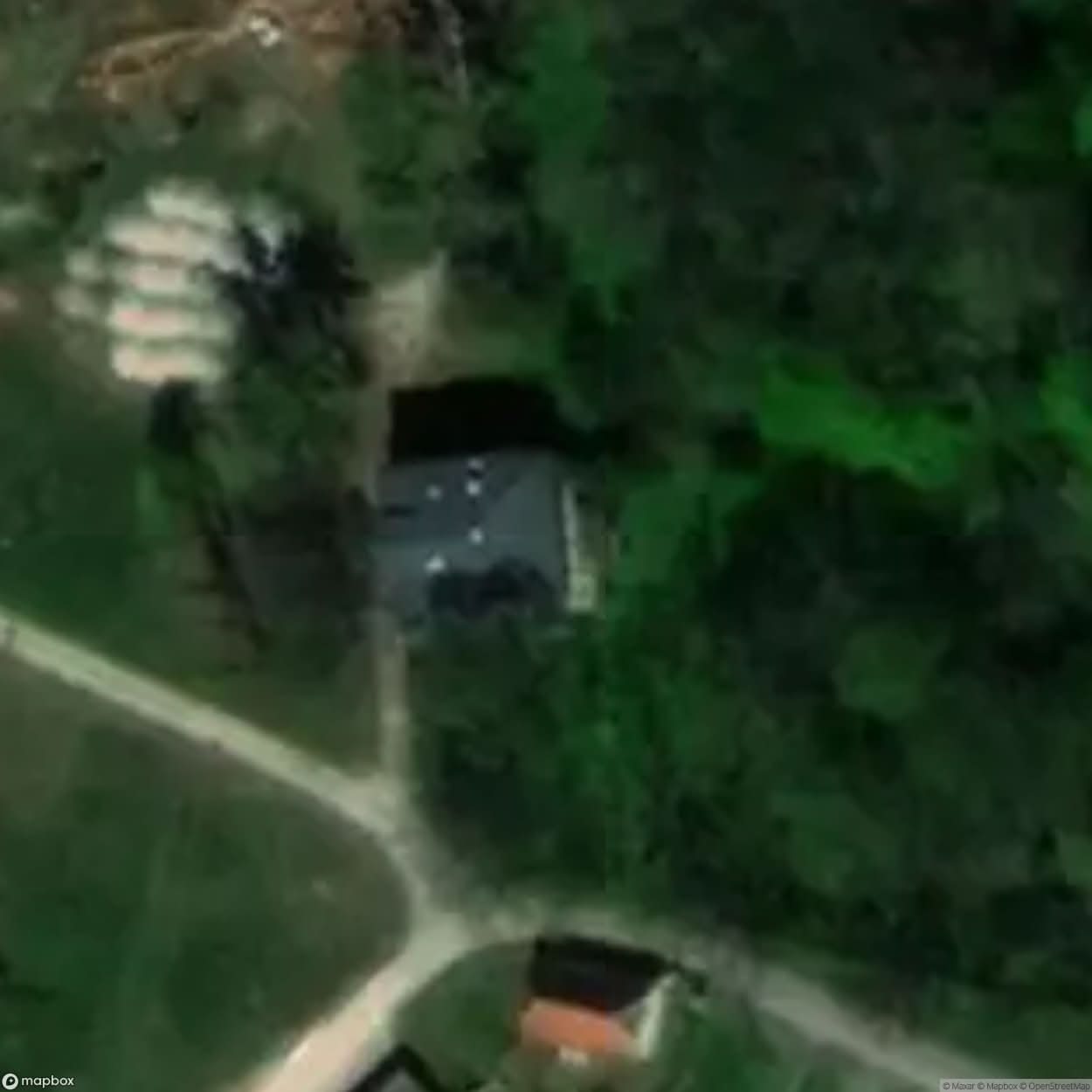 Manor House Psychiatric Manor [POL] #24001