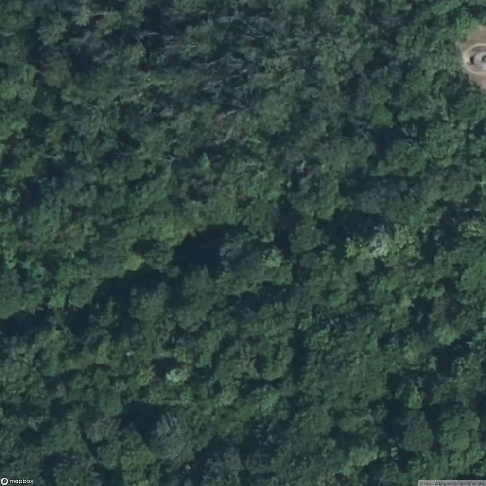 Bunker Sdf [FRA] #16013