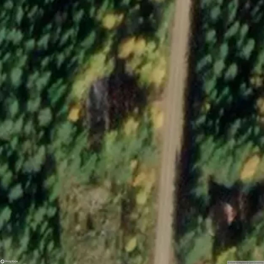 Hunting House Water [SWE] #01227