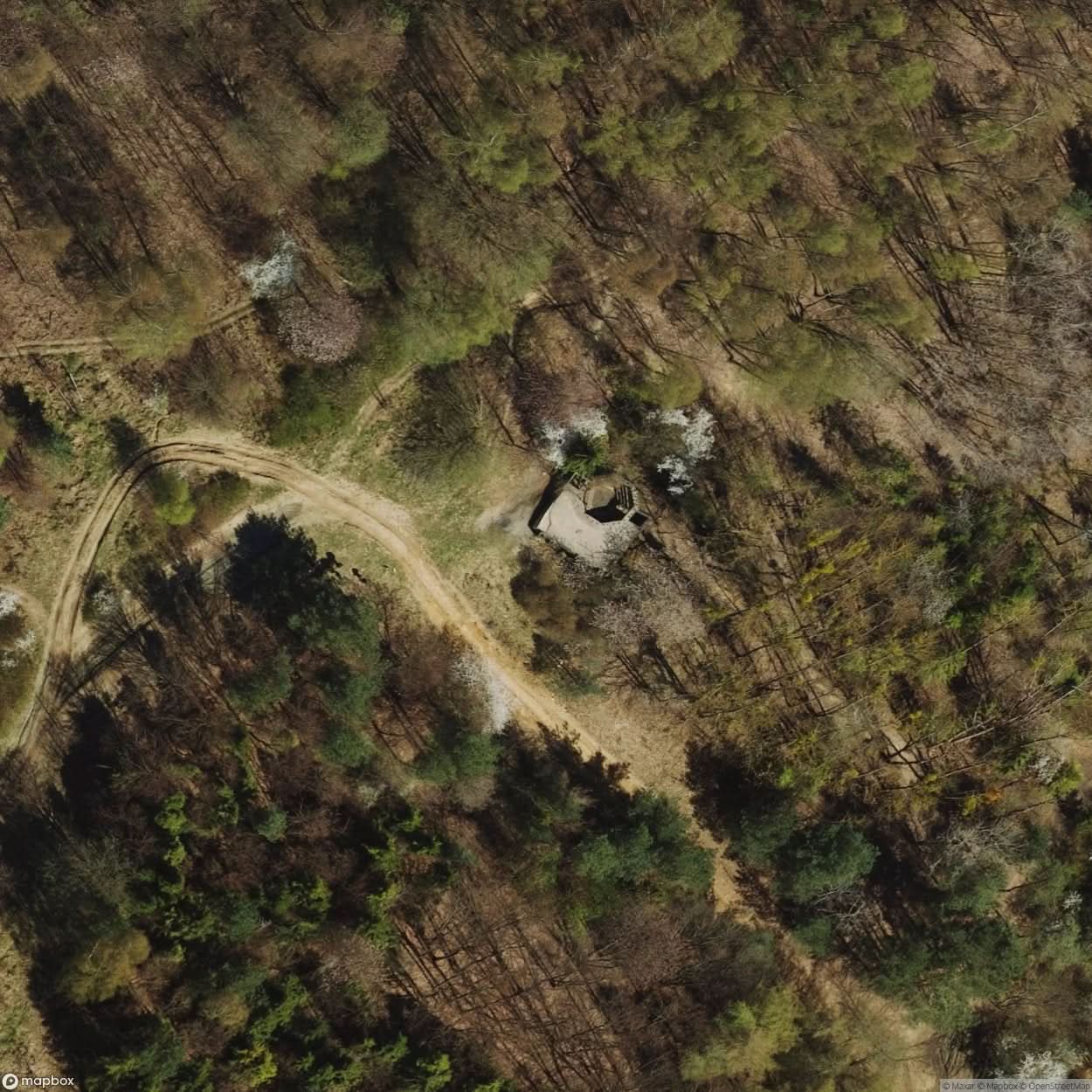 Site Gdynia Kolibki [POL] #33246