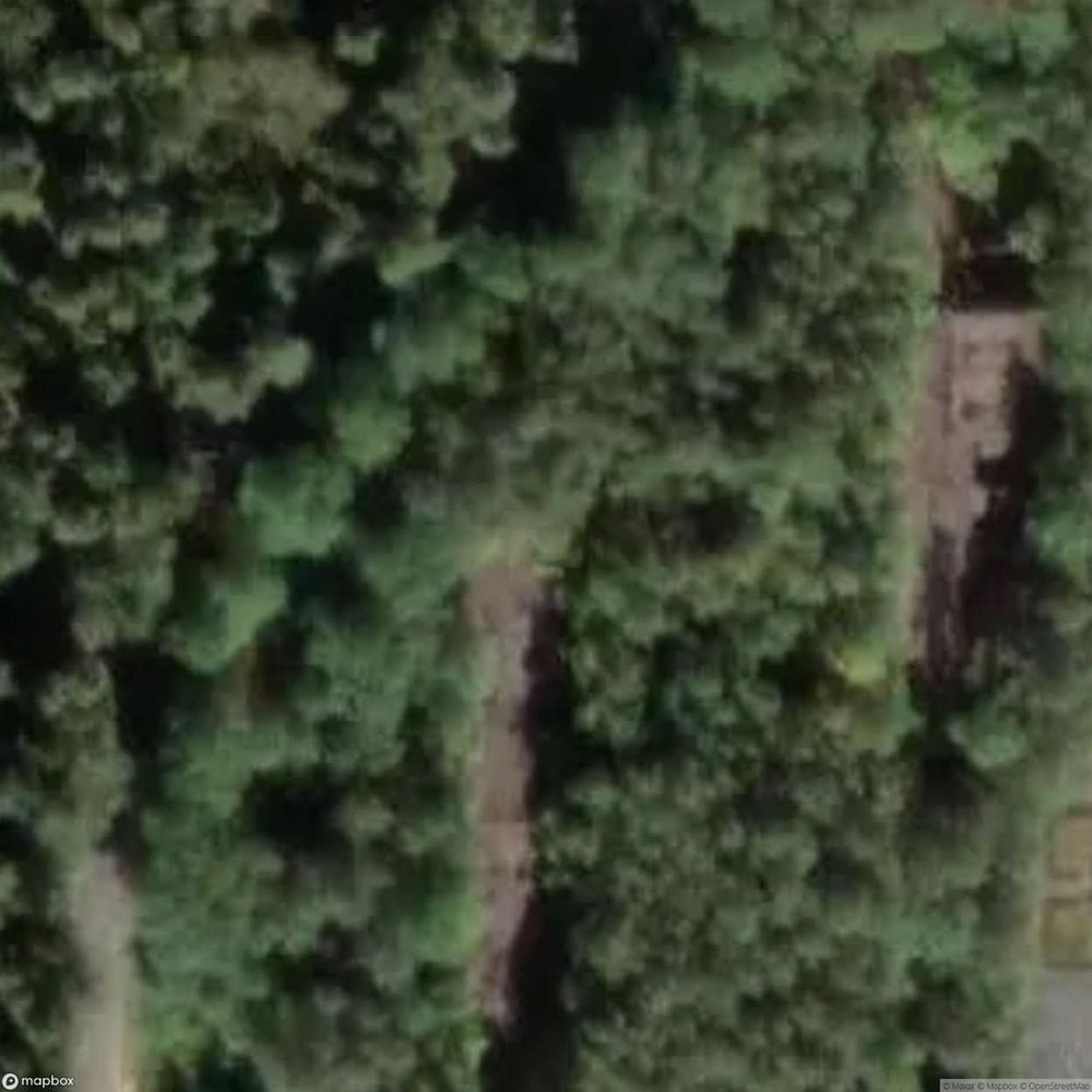 Sybillenbad Building Ruins [DEU] #06829