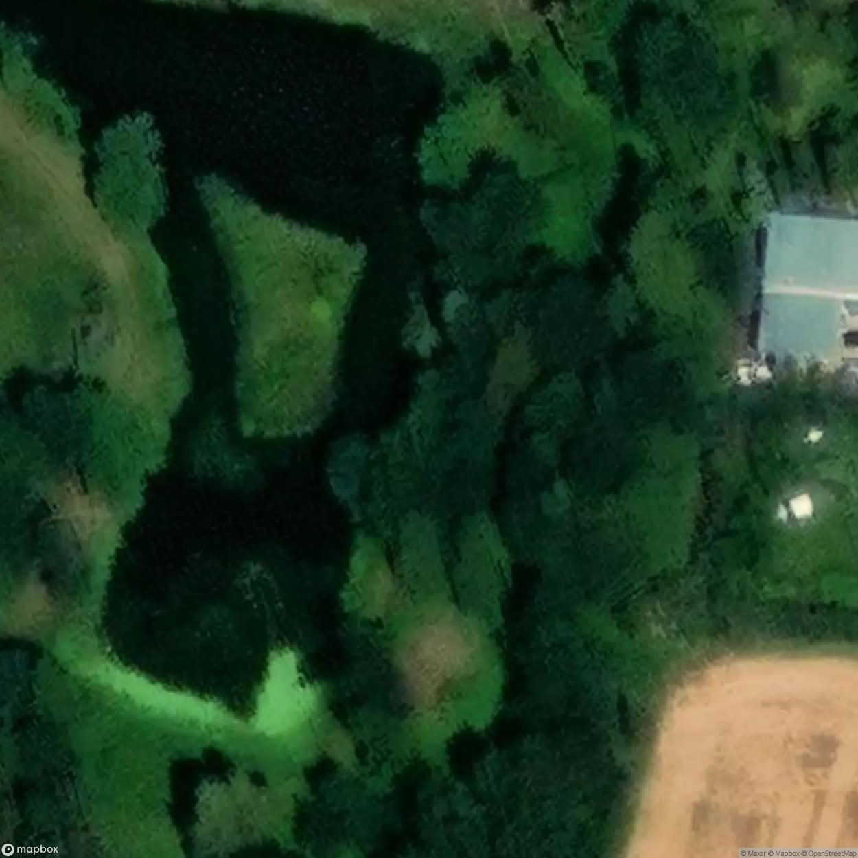 Boguszyn Palace Palace [POL] #23901