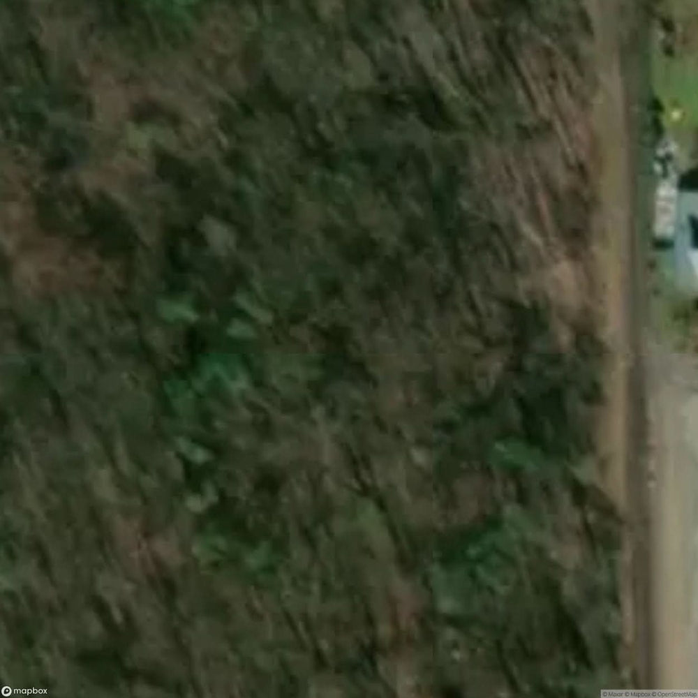 Historic Cemetery Debowa Eka [POL] #35846