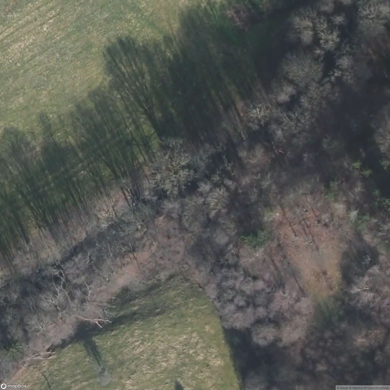 Hurtgen Forest Siegfried Line Bunker [DEU] #16352