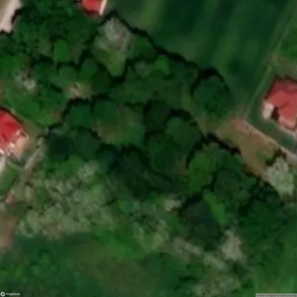 Historic Cemetery Aleksandrow Kujawski [POL] #35848