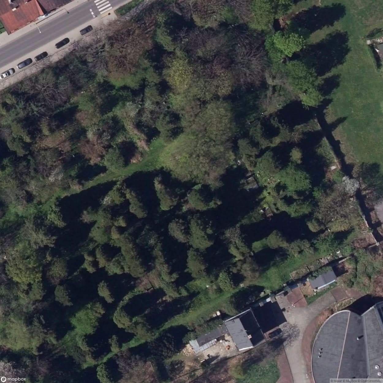 Historic Cemetery Bielsko Bia A [POL] #35847