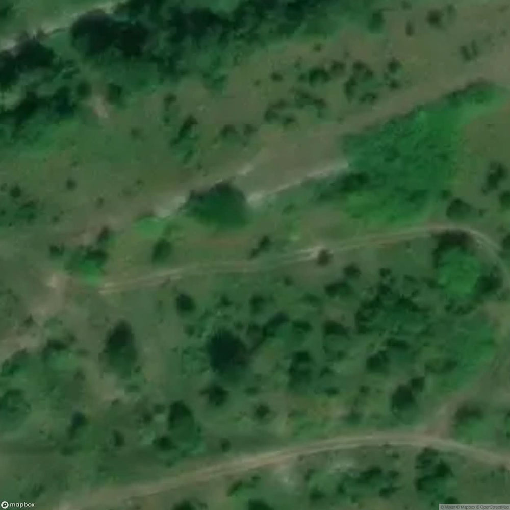 Historic Cemetery Near Borne Sulinowo [POL] #32093