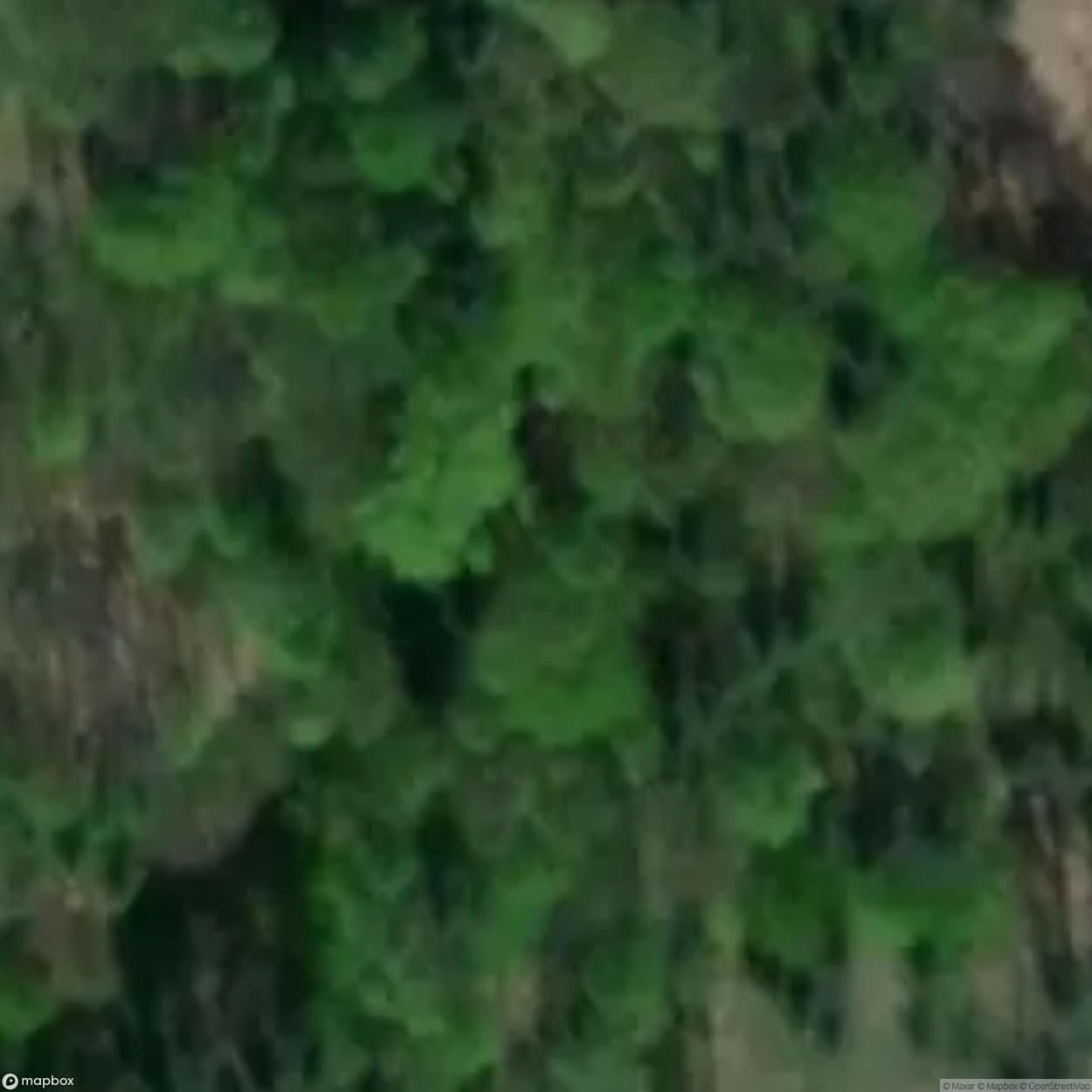 Site Ruins Of The Augusta Mine [POL] #34125