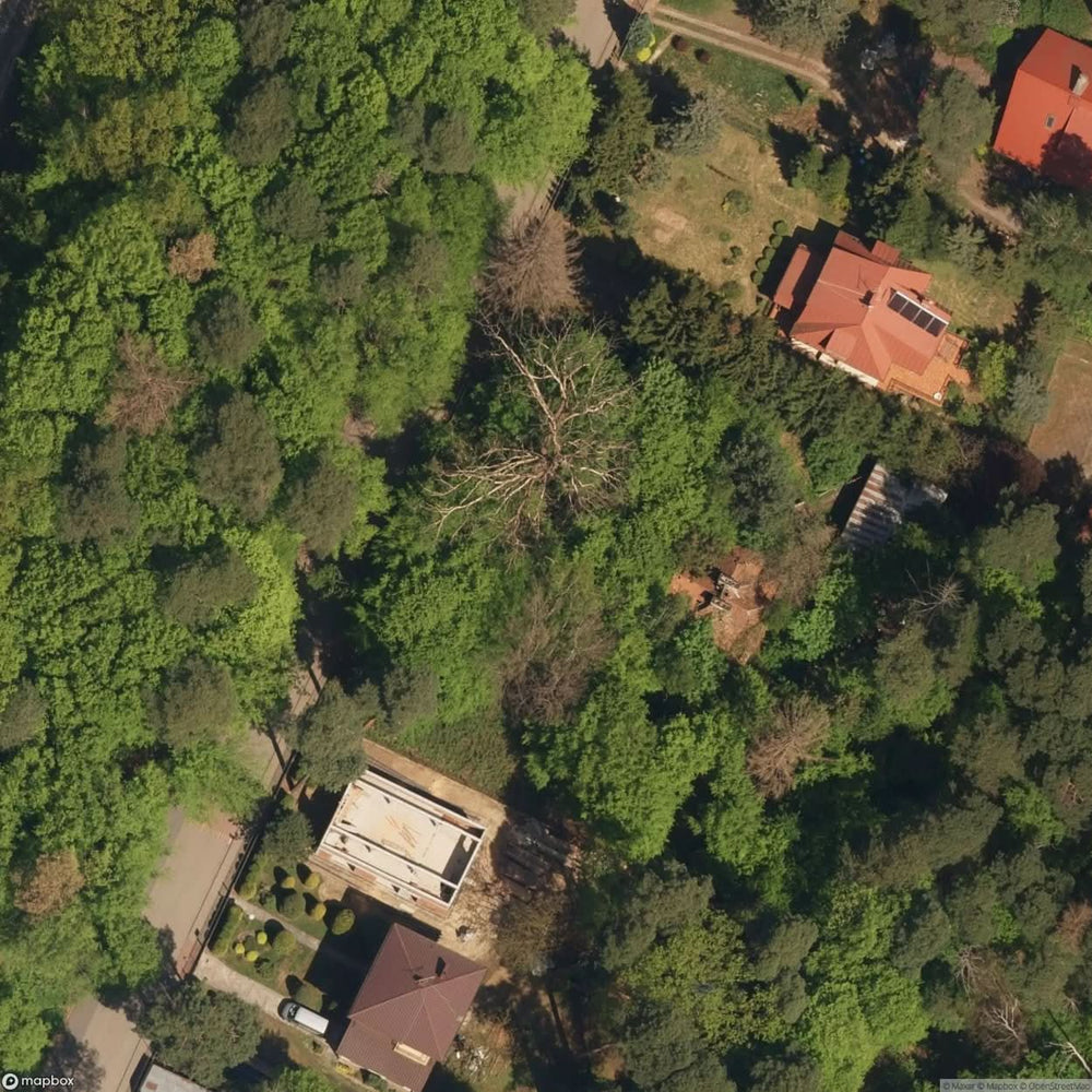 Residential Building Stary Dom Willa [POL] #24038