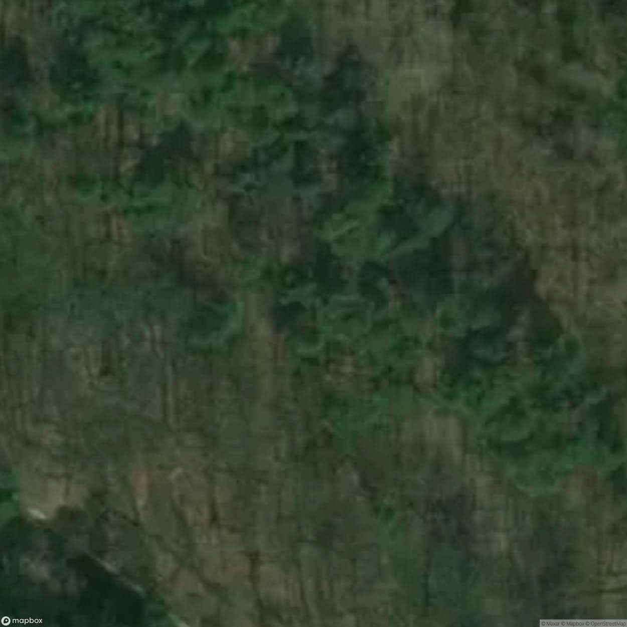 Abandoned Fort Sarbinowo Fort [POL] #32133