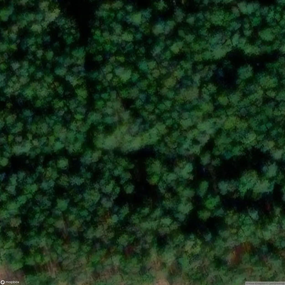 Danmarks House [BEL] #00225