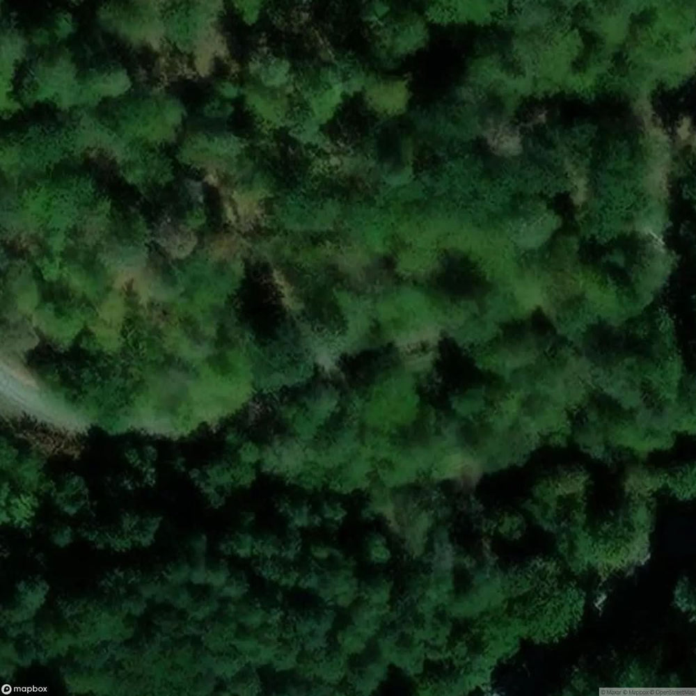 Limbach Tunnel [DEU] #12085