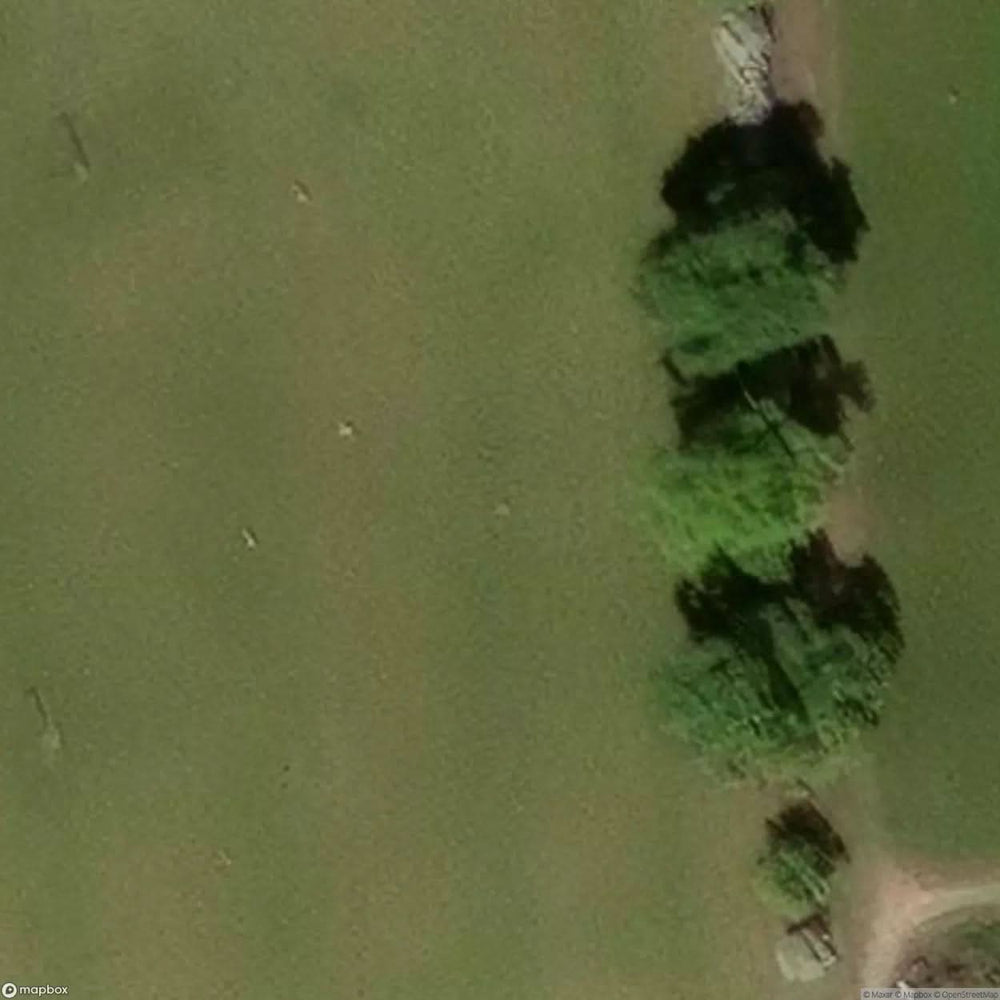 Doune Castle [GBR] #11066
