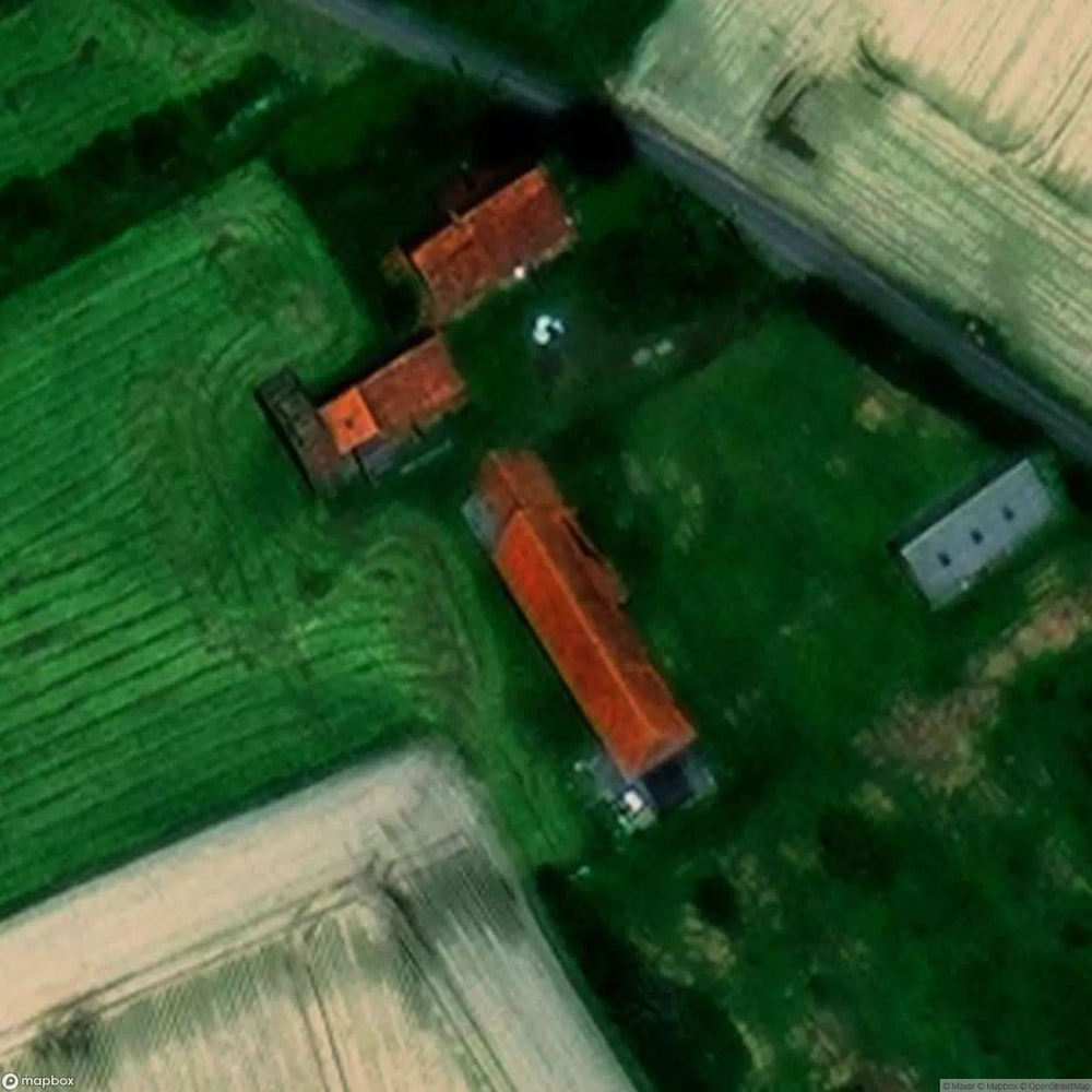 Spider Farm [BEL] #04510