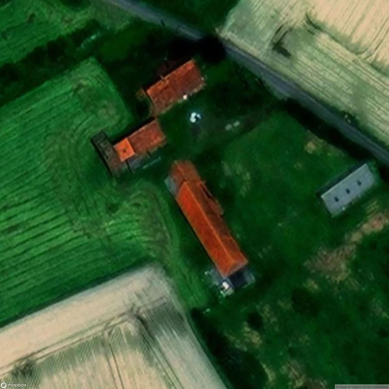 Spider Farm [BEL] #04510