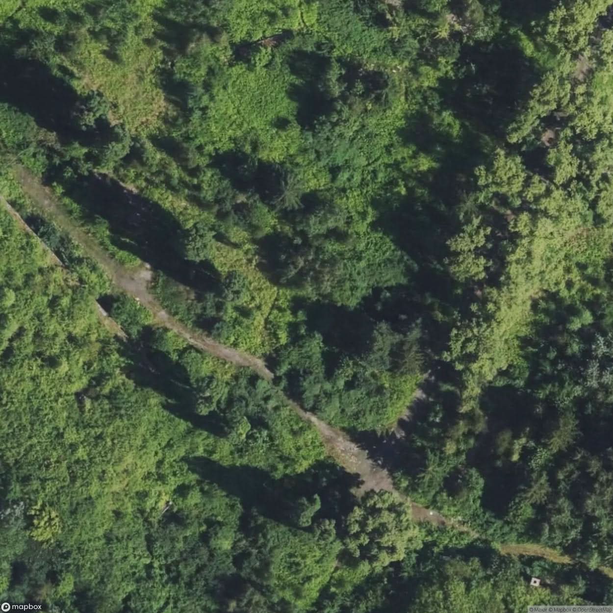 Abandoned Military Bunker Near Dabkowizna [POL] #32078
