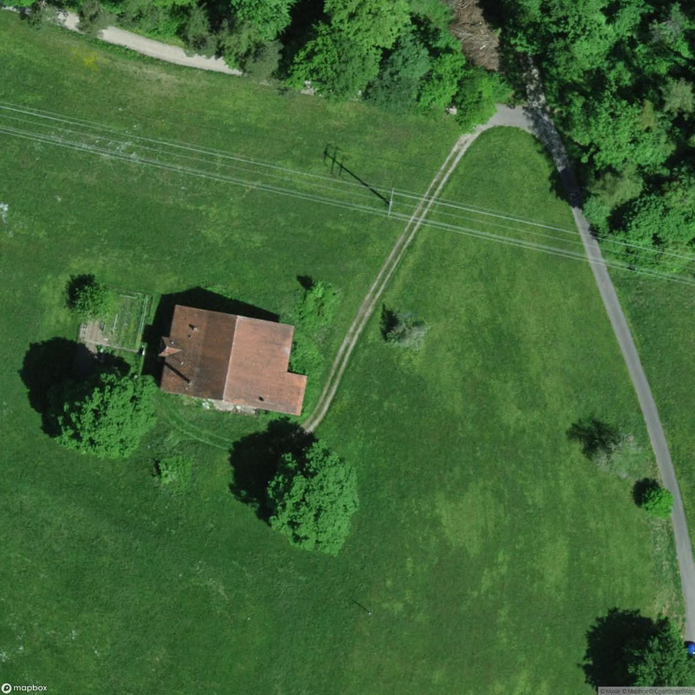 Cat Villa Elgg Zh [CHE] #01237