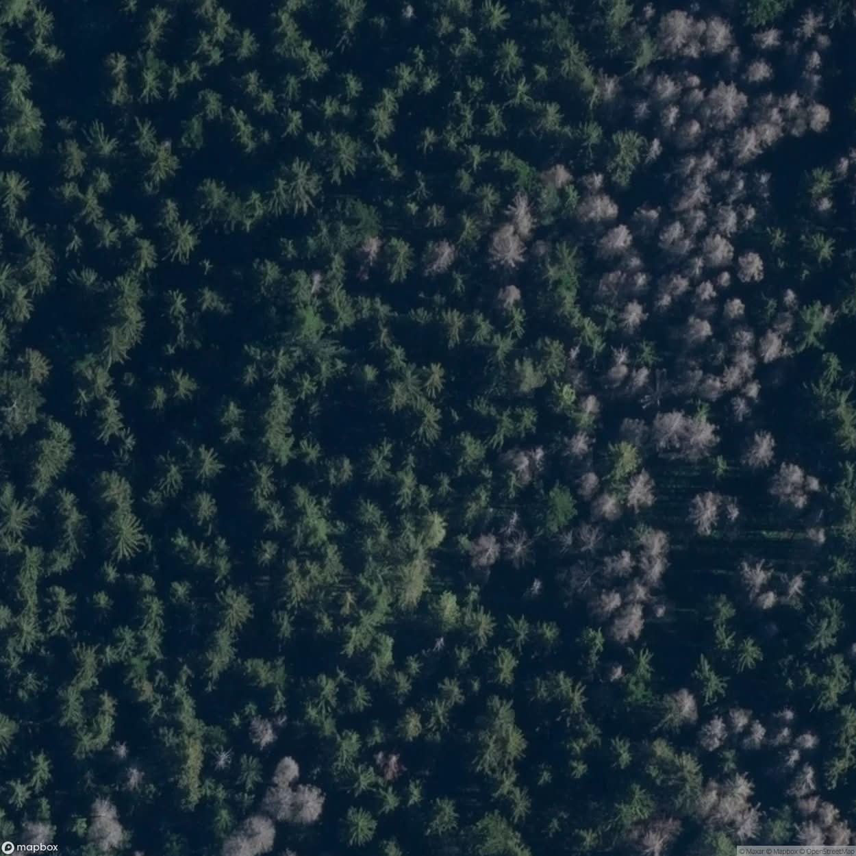 Site Shepherd S Huts In The Jaworzynka Valley [POL] #33482