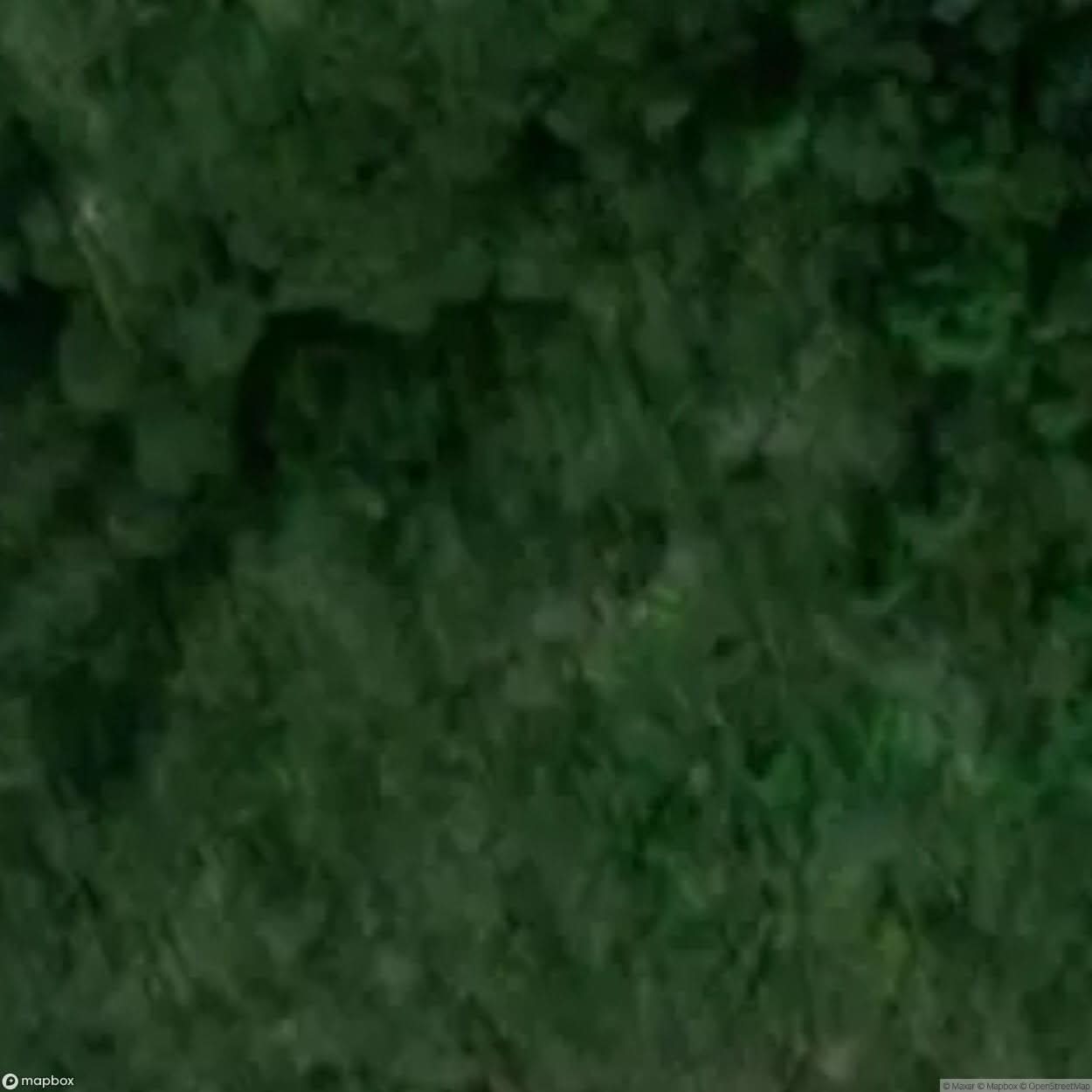 Temple Of Thought Th Century Chapel Ruins [POL] #12175