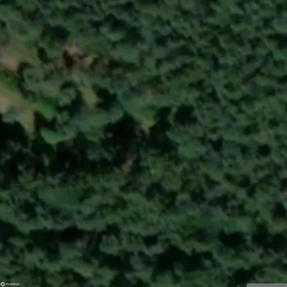 Site Old Shooting Range [POL] #33492