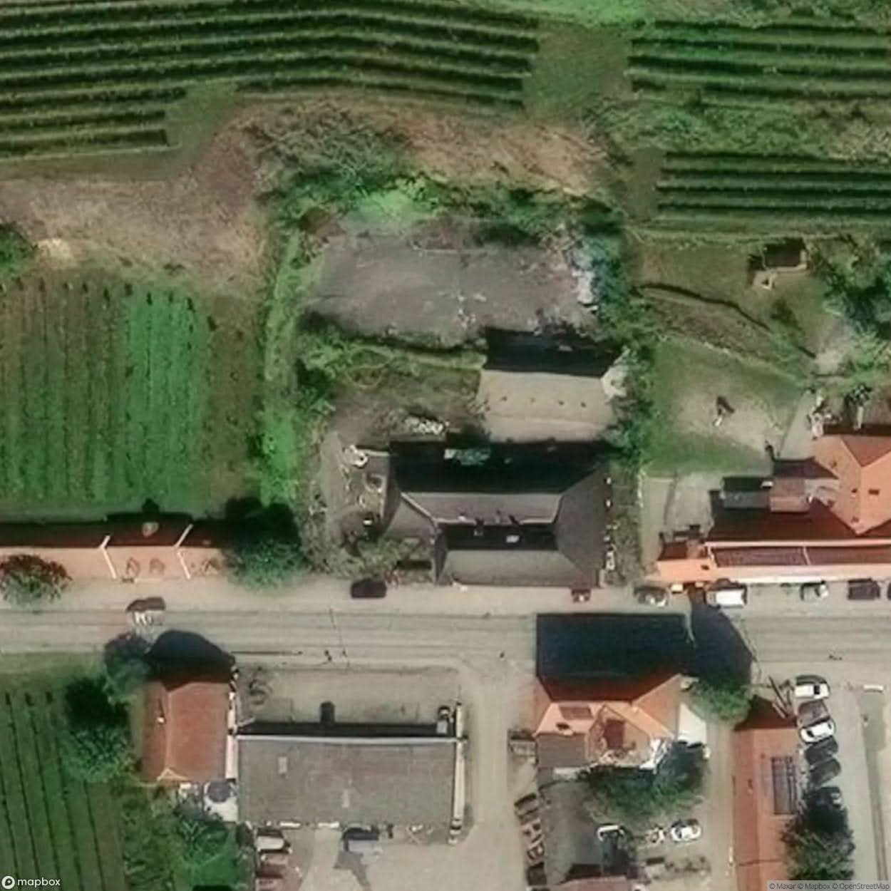 Rovegno Colony [AUT] #12431
