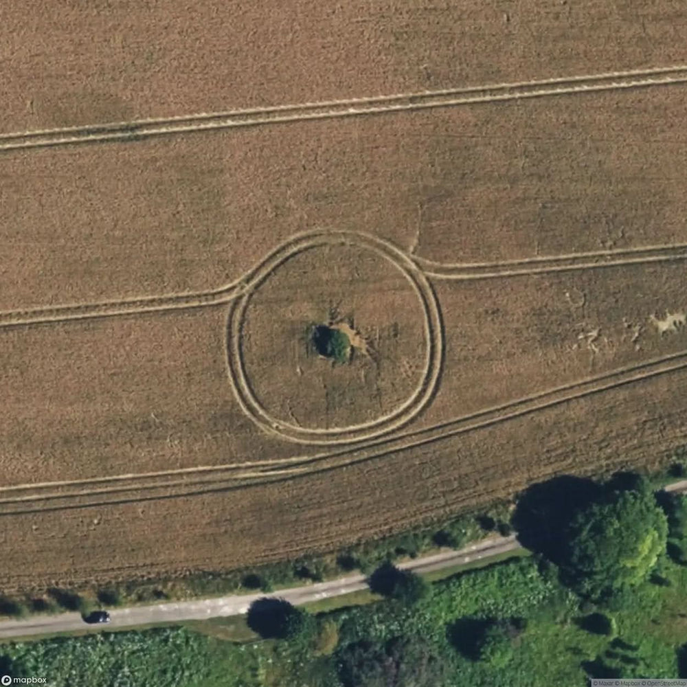 South Wraxall Quarry [GBR] #06434