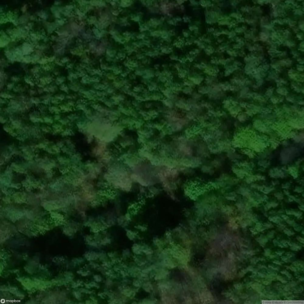 Buchenberg Iron Ore Mine [DEU] #07338