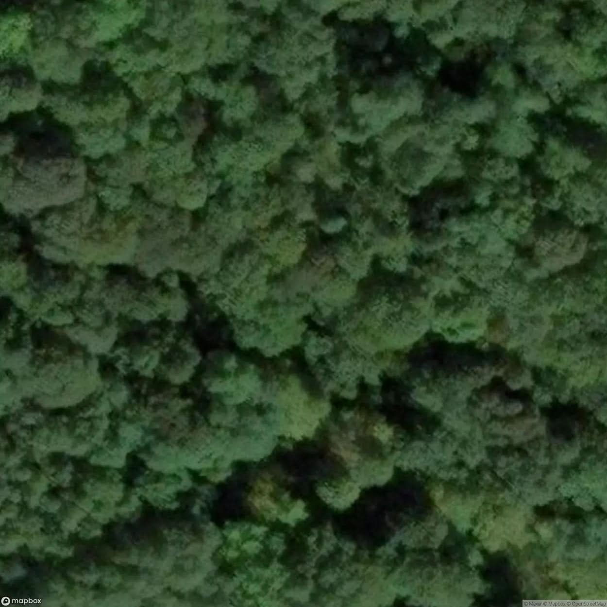 Ruins Railway [POL] #11770