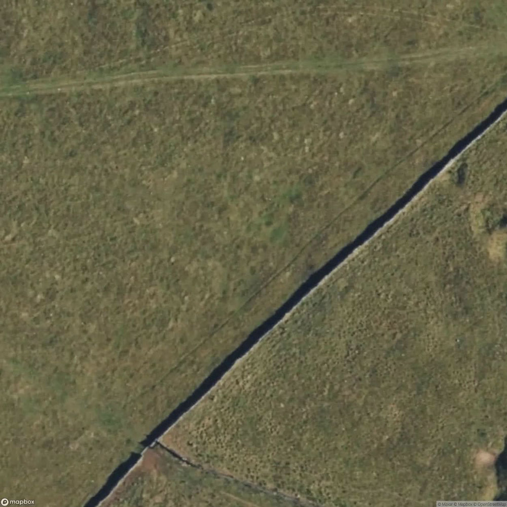 Old Moor Dig [GBR] #11485