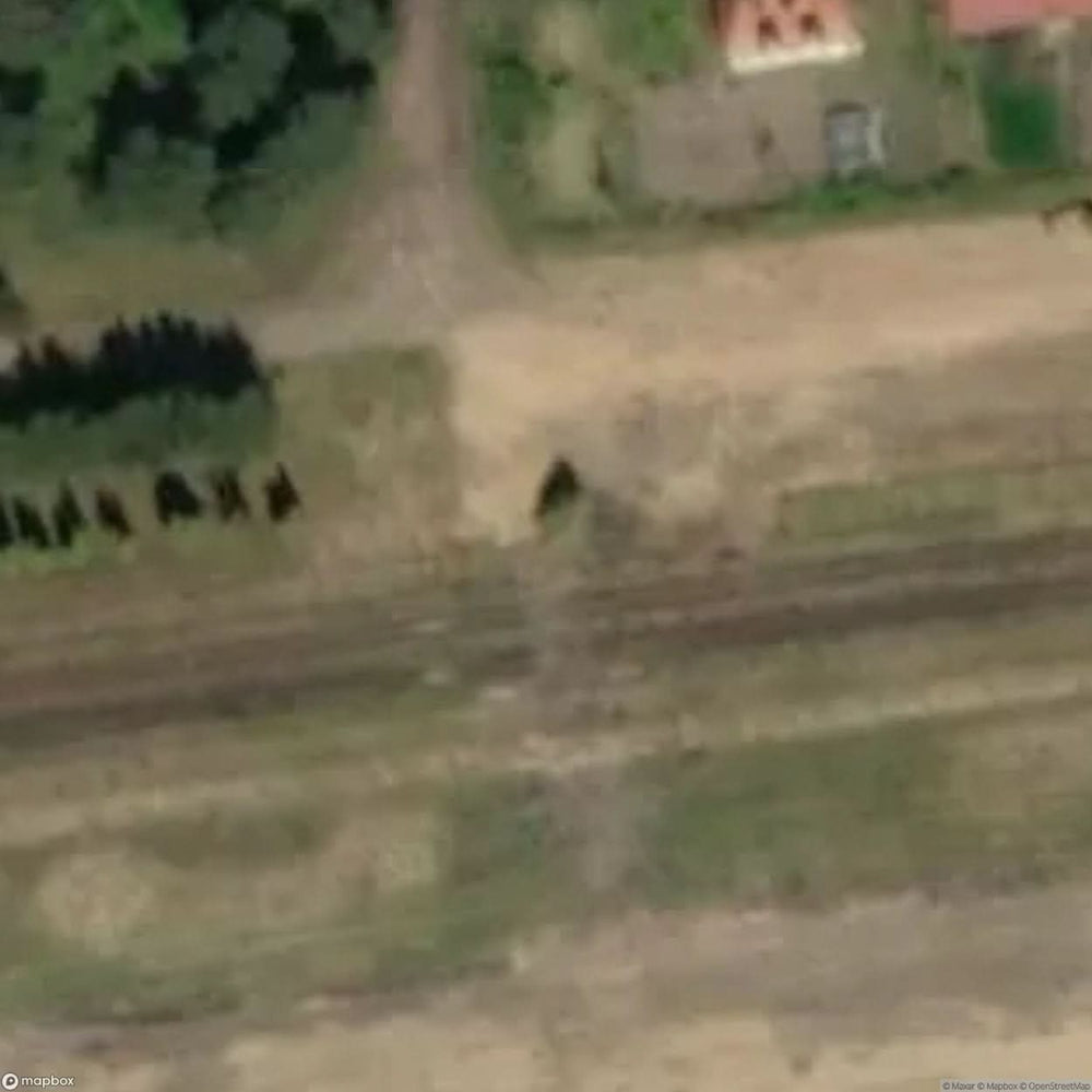 Rail Infrastructure Czerwony Bor Railway Station [POL] #29759