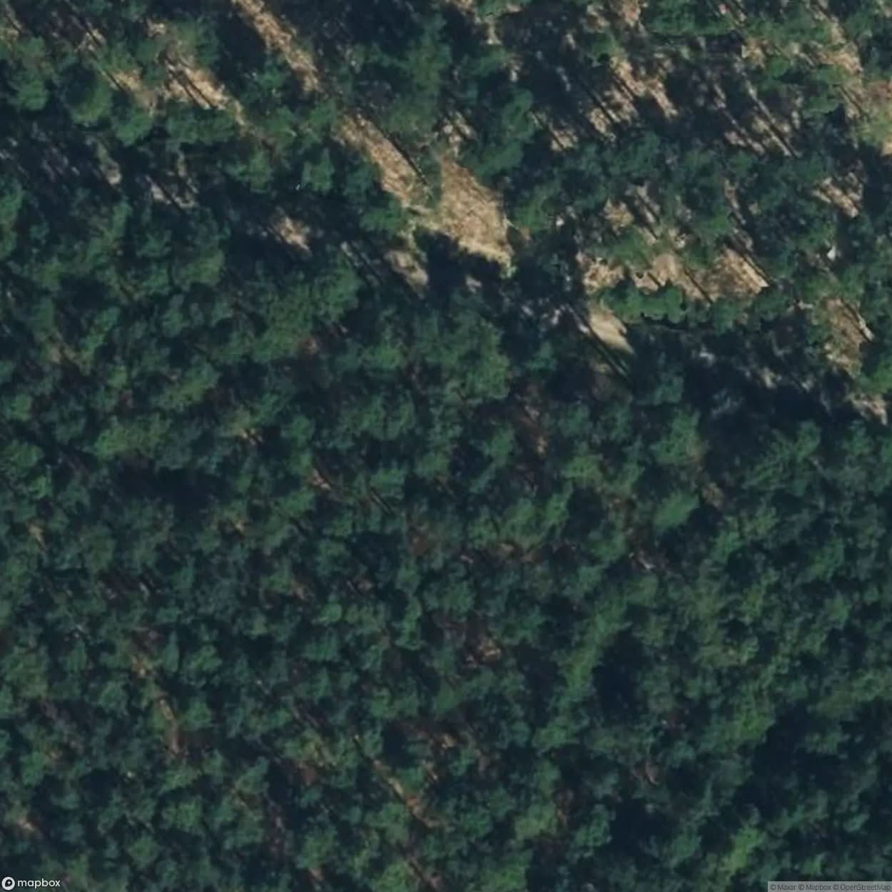 Bahlsen Family Hunting Lodge [DEU] #11284