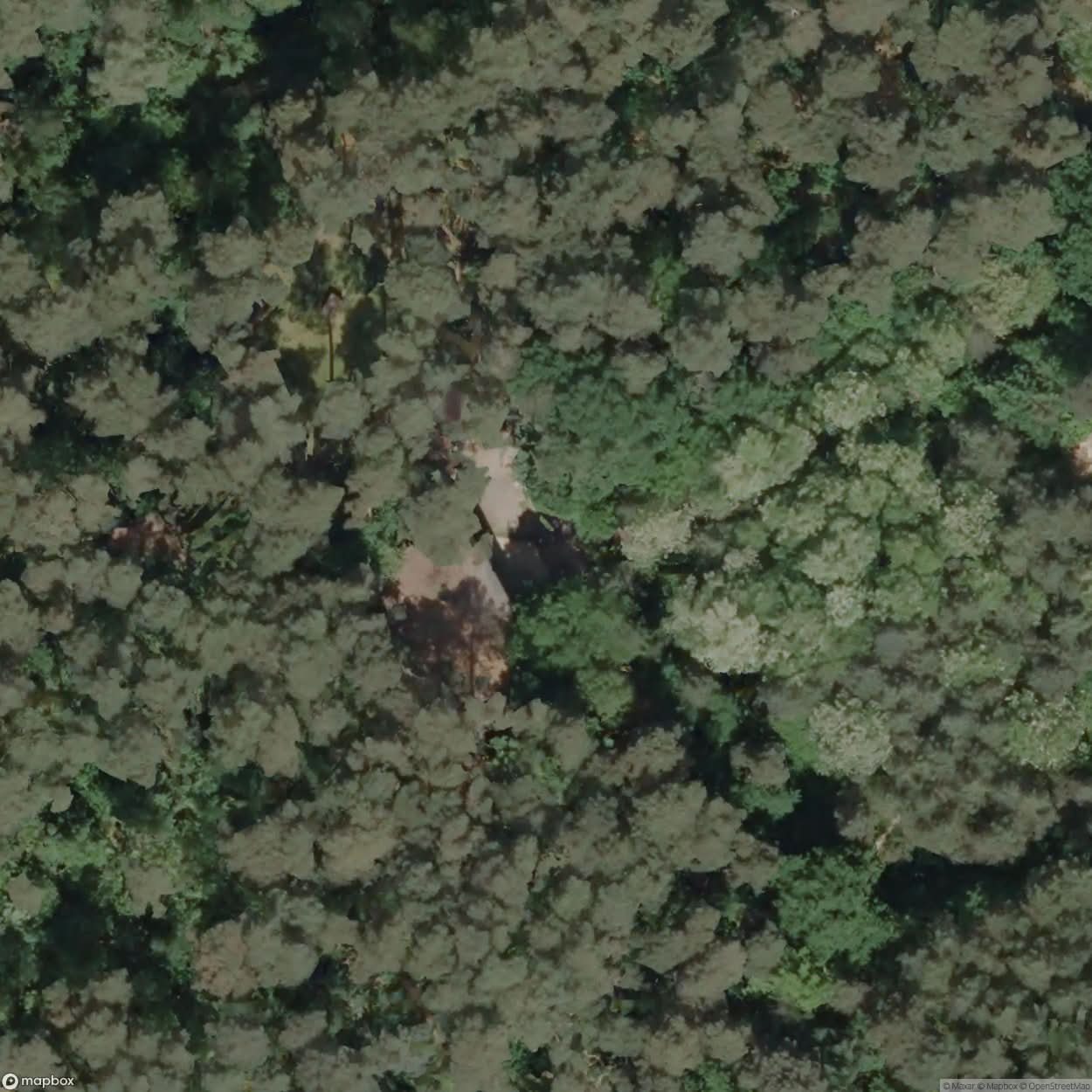 Old Shooting Range Rhedaer Forest [DEU] #15412