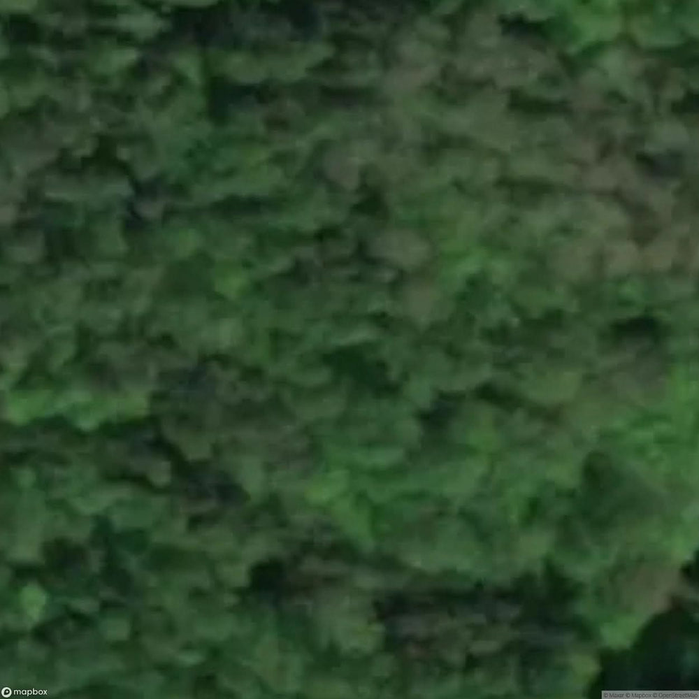 Karczewiec Site Near Rybo [POL] #33087